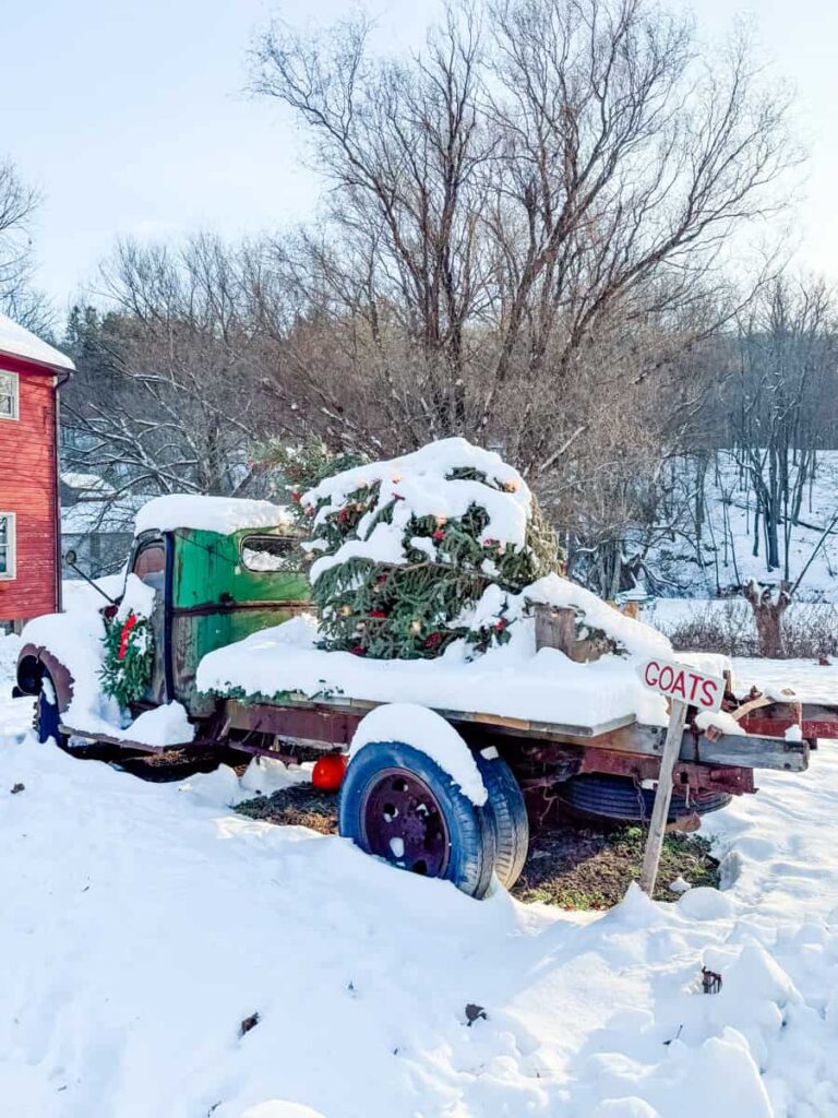 Snow-covered green and red antique truck with a wreath and pine tree in the back, parked beside the Cider Mill with a hand-painted “Goats” sign stuck in the snow.