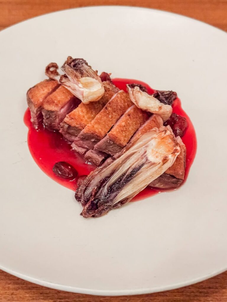 Sliced duck breast served with roasted endhive and tart cranberry sauce on a white plate.