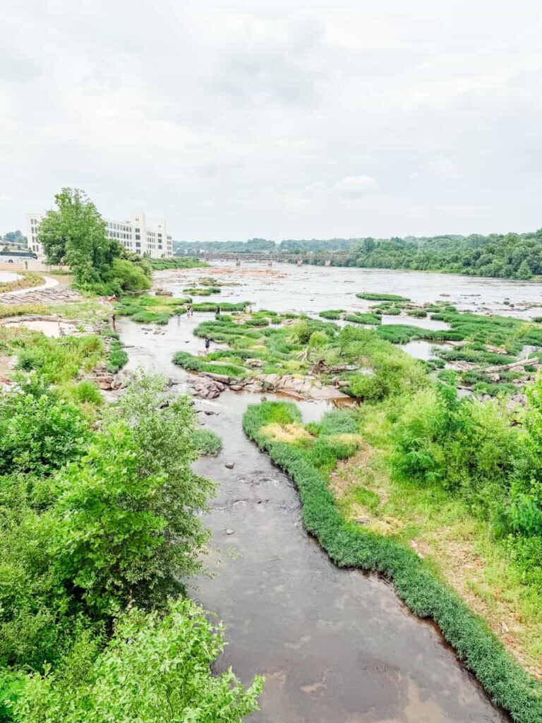 View of the Dan River with rocky islands, green vegetation, and a bridge in the distance from the Riverfront park overlook.