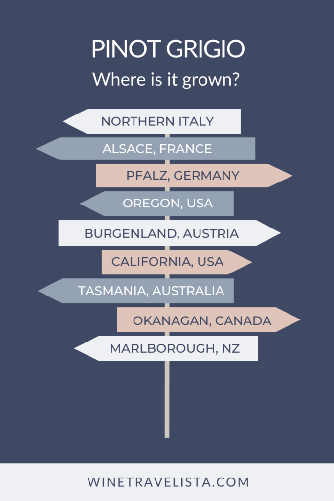 Signpost graphic titled "Pinot Grigio, where is it grown?" with arrows pointing to Northern Italy, Alsace France, Pfalz Germany, Oregon USA, Burgenland Austria, California USA, Tasmania Australia, Okanagan Canada, and Marlborough NZ.